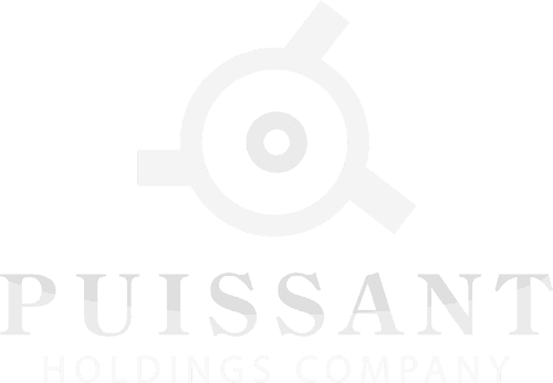 Puissant Holdings Company